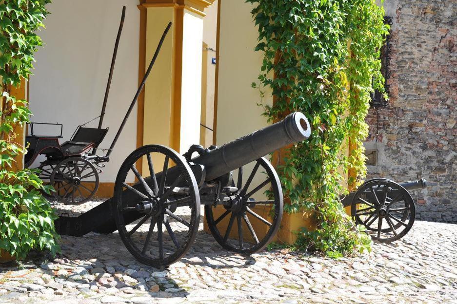 Zamek Otmuchów Exterior foto